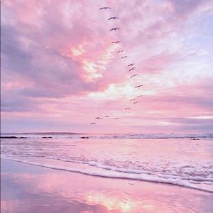 Meet your Posher, Lexy